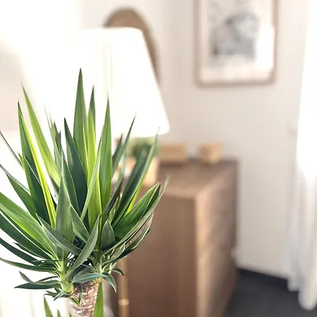 Appartement Cozee - The Oasis Kaiserslautern