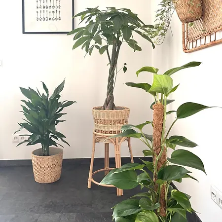 Appartement Cozee - The Oasis Kaiserslautern