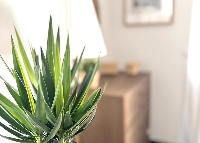 Appartement Cozee - The Oasis Kaiserslautern