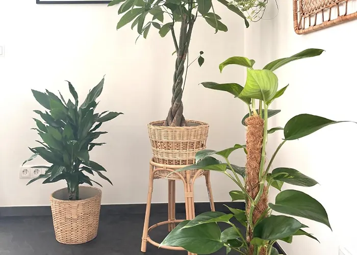 Appartement Cozee - The Oasis Kaiserslautern