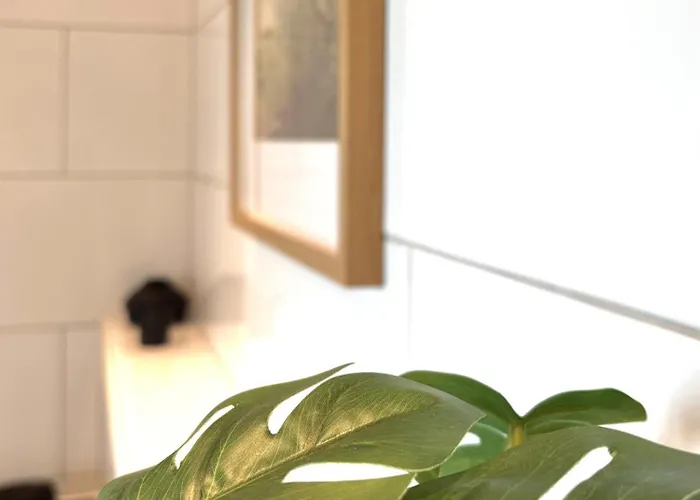 Cozee - The Oasis Kaiserslautern